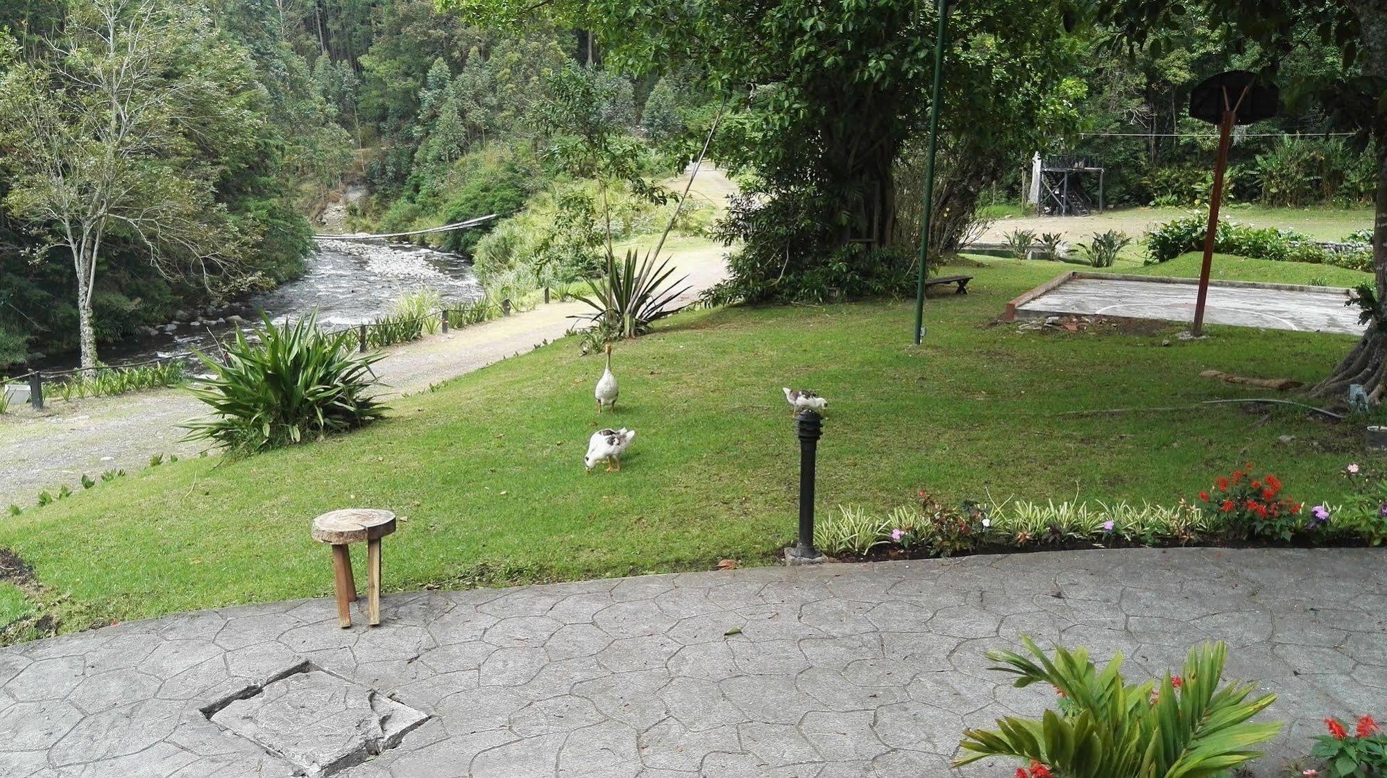 Hotel Casa Grande Bambito Dış mekan fotoğraf